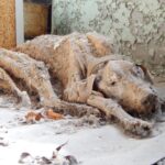 „W ciszy zatrzymane...”- reportaż Izabeli Patek Radio Zachód - Lubuskie