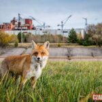 „W ciszy zatrzymane...”- reportaż Izabeli Patek Radio Zachód - Lubuskie