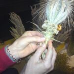 Wielkanoc z radiowym reportażem- posłuchaj Radio Zachód - Lubuskie