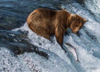 Fot. Barbara Toczyska