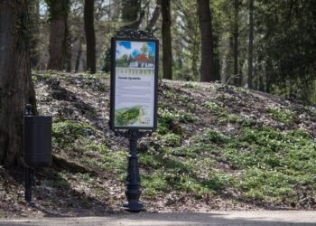 Fot. Monika Drozłowska - Visit Zielona Góra