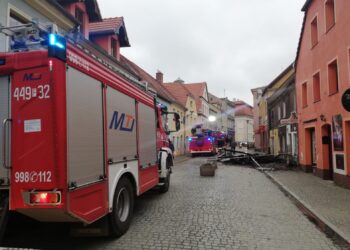 fot. Krzysztof Gonera