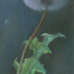 „W poszukiwaniu piękna”- reportaż Izabeli Patek Radio Zachód - Lubuskie