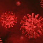 Najwięcej zgonów od początku epidemii epidemia koronawirus covid-19