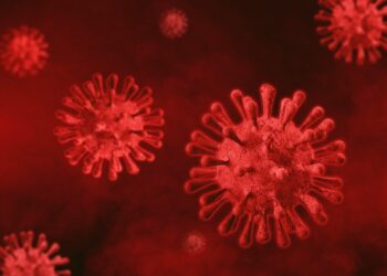 Najwięcej zgonów od początku epidemii epidemia koronawirus covid-19