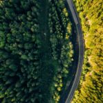 TOGETAIR: Lasy Państwowe chcą być samowystarczalne energetycznie