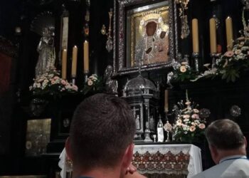 źródło: p.głogowska