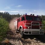 Chrońmy lasy przed pożarami