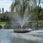 Budki dla ptaków w Parku Kościuszki w Sulechowie 10 Budki dla ptaków w Parku Kościuszki w Sulechowie Radio Zachód - Lubuskie