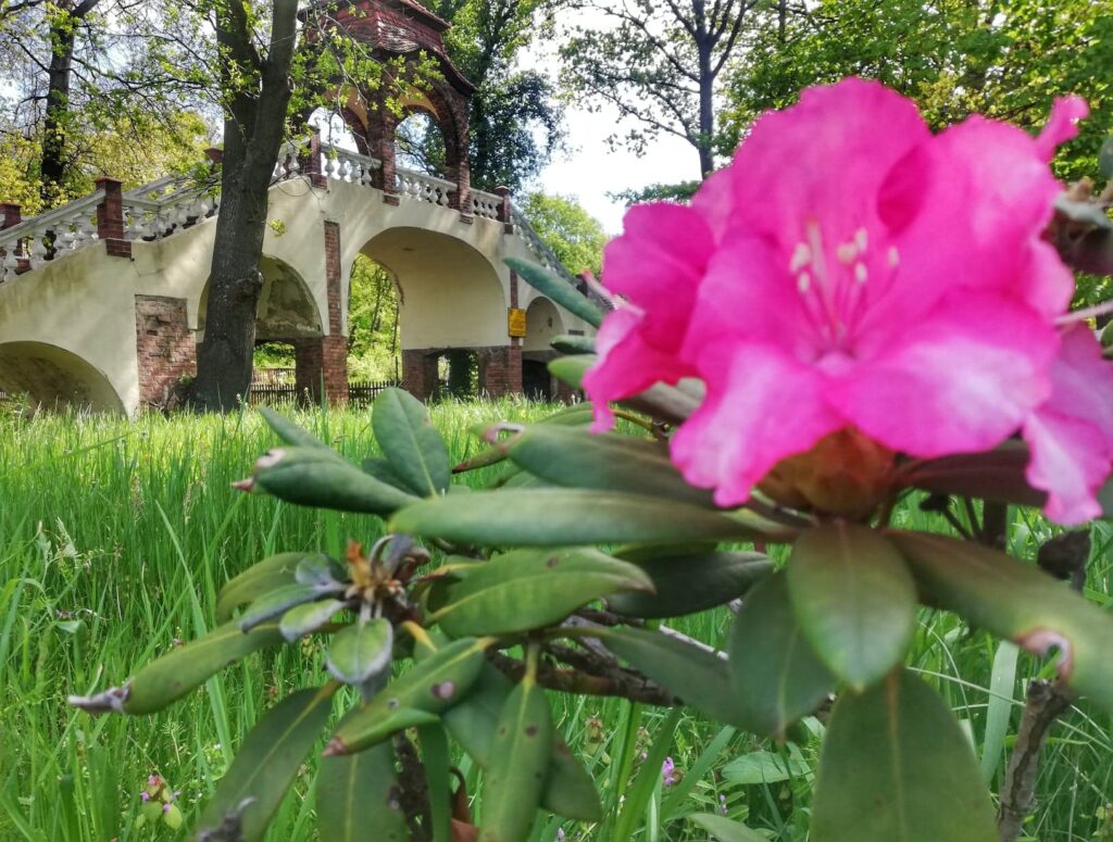 Wybierz się na spacer po Parku Dworskim w Iłowej Radio Zachód - Lubuskie