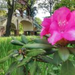 Wybierz się na spacer po Parku Dworskim w Iłowej Radio Zachód - Lubuskie