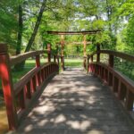 Wybierz się na spacer po Parku Dworskim w Iłowej Radio Zachód - Lubuskie