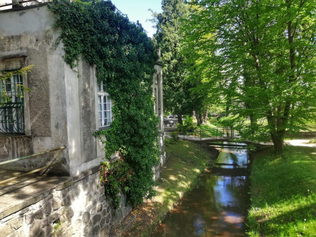 Wybierz się na spacer po Parku Dworskim w Iłowej Radio Zachód - Lubuskie