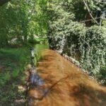 Wybierz się na spacer po Parku Dworskim w Iłowej Radio Zachód - Lubuskie