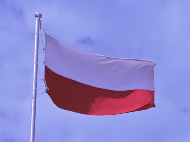 fot. Marta Czechowska