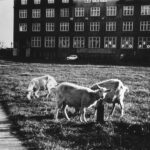 „Pozostały zdjęcia”- reportaż Izabeli Patek po 18.00 Radio Zachód - Lubuskie