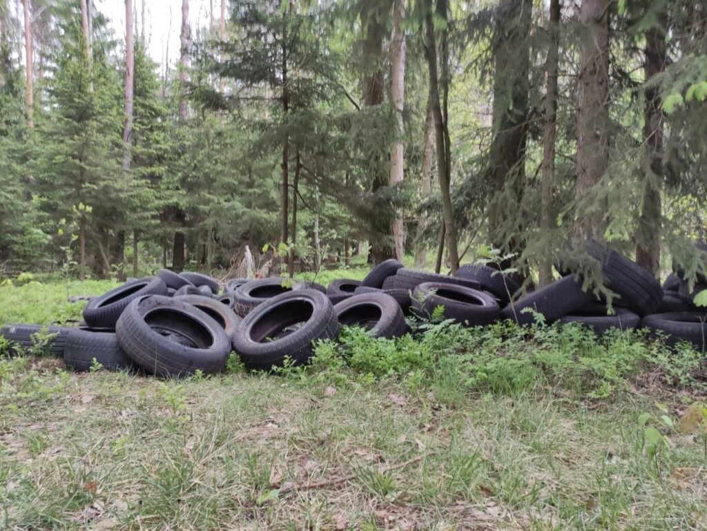 Niemal sto opon wyrzuconych w lesie pod Marszowem Radio Zachód - Lubuskie
