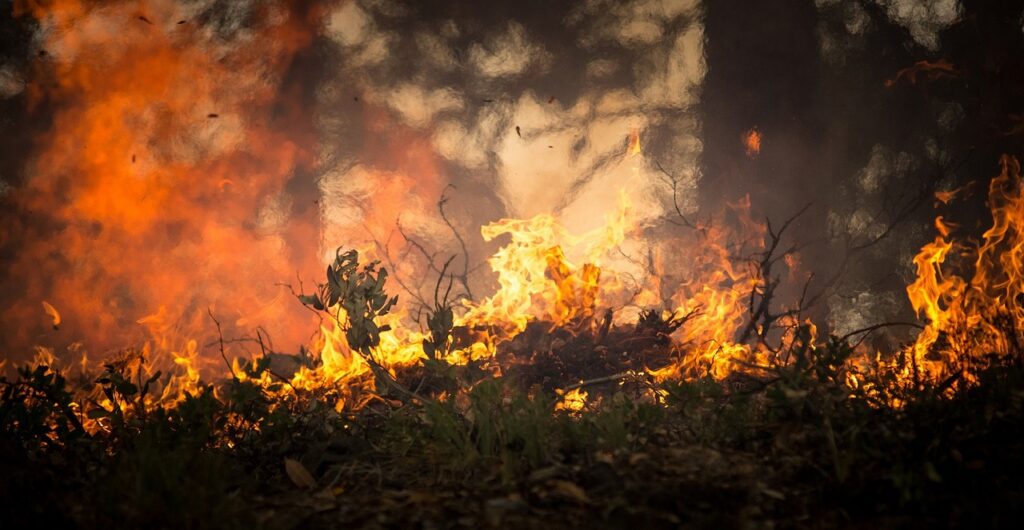 W lasach najwyższy stopień zagrożenia pożarowego Radio Zachód - Lubuskie