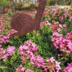 Święto kwitnącej azalii w Iłowej Radio Zachód - Lubuskie