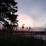 Rowerki wodne, strzelnica i plaża... Na wakacje wybierz gminę Lubrza! Radio Zachód - Lubuskie