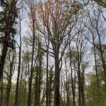 Rowerki wodne, strzelnica i plaża... Na wakacje wybierz gminę Lubrza! Radio Zachód - Lubuskie