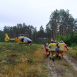 Po wypadku dwóch ciężarówek zablokowana dk 22