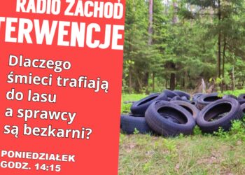 Dlaczego śmieci trafiają do lasu a sprawcy są bezkarni?