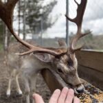 Tu znajdziesz spokój i czas na pracę nad sobą Radio Zachód - Lubuskie