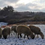 Tu znajdziesz spokój i czas na pracę nad sobą Radio Zachód - Lubuskie