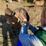 Tu znajdziesz spokój i czas na pracę nad sobą Radio Zachód - Lubuskie