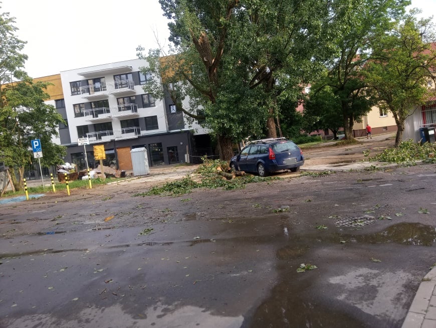 Burza poprzewracała drzewa Radio Zachód - Lubuskie