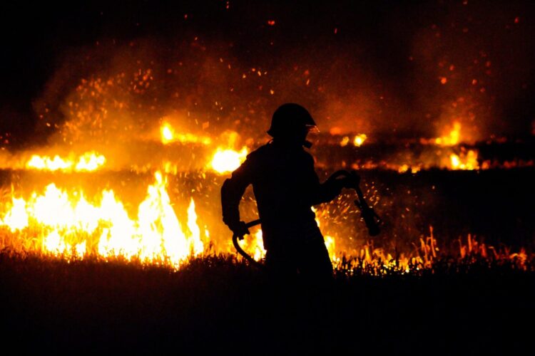 Najwyższy stopień zagrożenia pożarowego w lubuskich lasach
