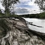 Bezpieczne wakacje w lesie 19 Bezpieczne wakacje w lesie Radio Zachód - Lubuskie