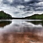 Bezpieczne wakacje w lesie 12 Bezpieczne wakacje w lesie Radio Zachód - Lubuskie