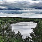 Bezpieczne wakacje w lesie 13 Bezpieczne wakacje w lesie Radio Zachód - Lubuskie