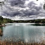 Bezpieczne wakacje w lesie 10 Bezpieczne wakacje w lesie Radio Zachód - Lubuskie