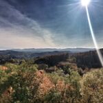 Bezpieczne wakacje w lesie 17 Bezpieczne wakacje w lesie Radio Zachód - Lubuskie