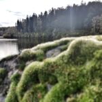 Bezpieczne wakacje w lesie 16 Bezpieczne wakacje w lesie Radio Zachód - Lubuskie