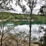 Bezpieczne wakacje w lesie 15 Bezpieczne wakacje w lesie Radio Zachód - Lubuskie