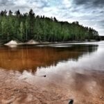 Bezpieczne wakacje w lesie 14 Bezpieczne wakacje w lesie Radio Zachód - Lubuskie