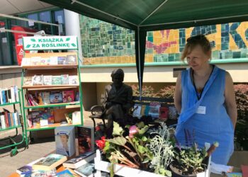 wymianan książek w Norwidzie