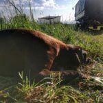 Niecodzienny sposób na nowe życie 13 Niecodzienny sposób na nowe życie Radio Zachód - Lubuskie