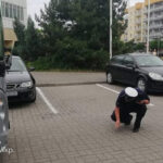 Tym dzieci miały jechać w świat! Poważne usterki ujawnione podczas kontroli autokarów 12 Tym dzieci miały jechać w świat! Poważne usterki ujawnione podczas kontroli autokarów Radio Zachód - Lubuskie