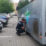 Tym dzieci miały jechać w świat! Poważne usterki ujawnione podczas kontroli autokarów 10 Pijany kierowca cysterny zatrzymany. Policję zaalarmował świadek!