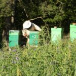 „Raj utracony”- posłuchaj reportażu Cezarego Galka Radio Zachód - Lubuskie