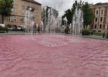 fot. Bartosz Schaefer