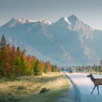 „Teraz oczy widzą więcej”- reportaż Renaty Wcisło Radio Zachód - Lubuskie