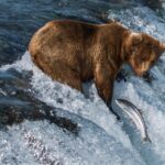 „Teraz oczy widzą więcej”- reportaż Renaty Wcisło Radio Zachód - Lubuskie