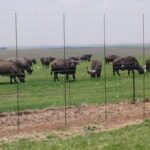 „Śladami marzeń- reportaż Izabeli Patek Radio Zachód - Lubuskie