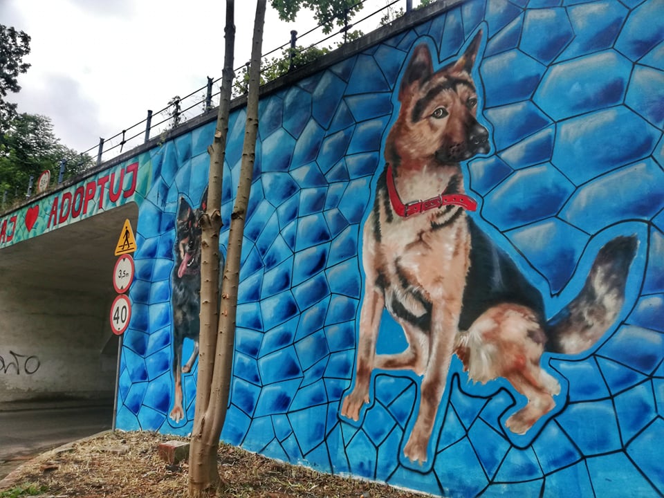 W Lubsku powstał mural poświęcony zwierzętom Radio Zachód - Lubuskie